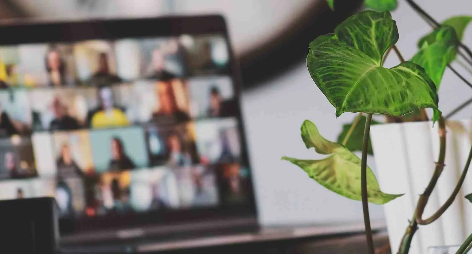 Como definir o conteúdo das aulas do seu evento online